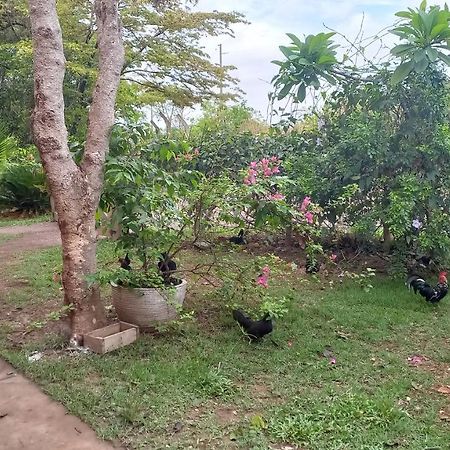 Chácara Pousada Sagui Cuiabá Exterior foto